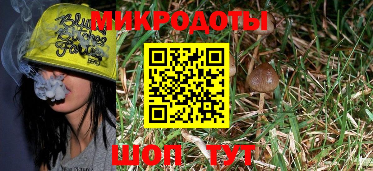 Псилоцибиновые грибы Cubensis Борисоглебск