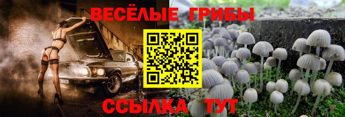 Галлюциногенные грибы MAGIC MUSHROOMS  Псилоцибиновые грибы Magic Shrooms  Вход с VPN  Борисоглебск 